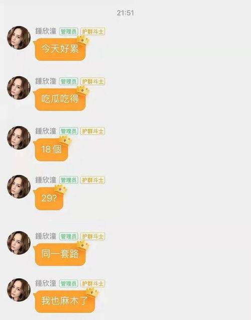 娱乐圈吃瓜文件